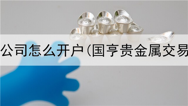 贵金属公司怎么开户(国亨贵金属交易中心)