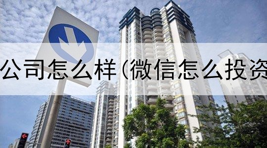  黄金投资公司怎么样(微信怎么投资纸黄金)