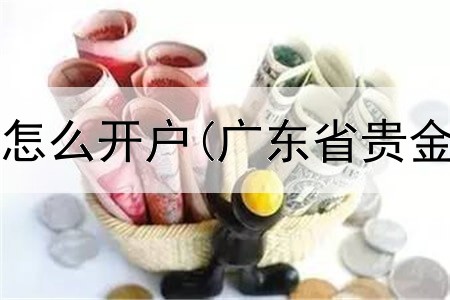 掌上贵金属怎么开户(广东省贵金属交易中)