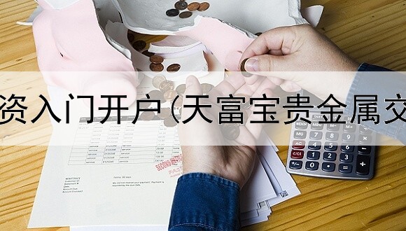 贵金属投资入门开户(天富宝贵金属交易系统)