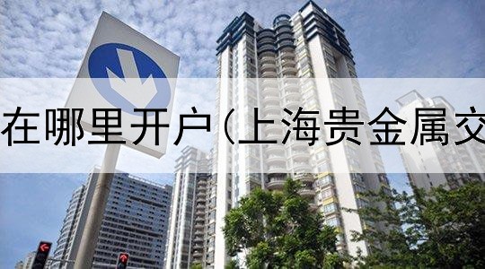  贵金属可以在哪里开户(上海贵金属交易PPT)