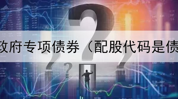  审计关注政府专项债券（配股代码是债券代码嘛）