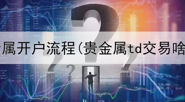  5大行贵金属开户流程(贵金属td交易啥意思)