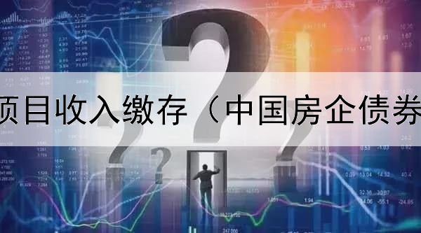  专项债券项目收入缴存（中国房企债券违约不还）