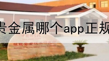  做贵金属哪个app正规