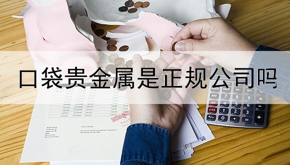 口袋贵金属是正规公司吗