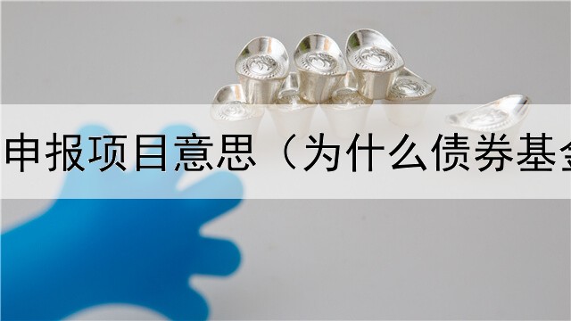  专项债券申报项目意思（为什么债券基金不保本）