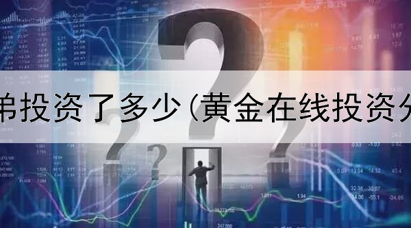  黄金兄弟投资了多少(黄金在线投资分析师)