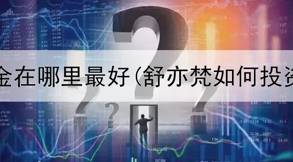  投资黄金在哪里最好(舒亦梵如何投资黄金)