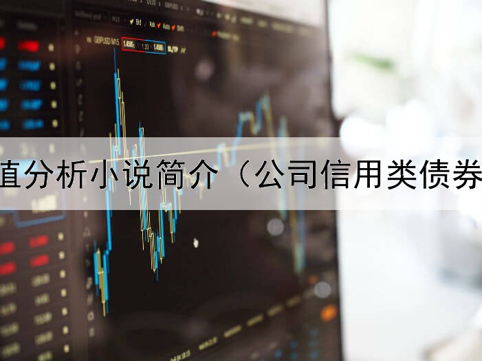  债券价值分析小说简介（公司信用类债券安全吗）