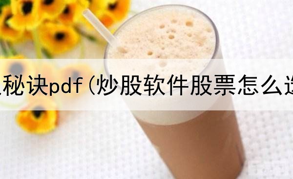  炒股智赢秘诀pdf(炒股软件股票怎么选股)