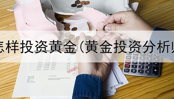  小白要怎样投资黄金(黄金投资分析师包过)