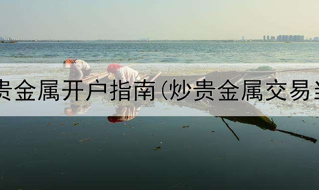  海通证券贵金属开户指南(炒贵金属交易当中难题)