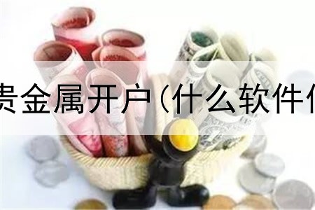 银行禁止账户贵金属开户(什么软件做贵金属交易)