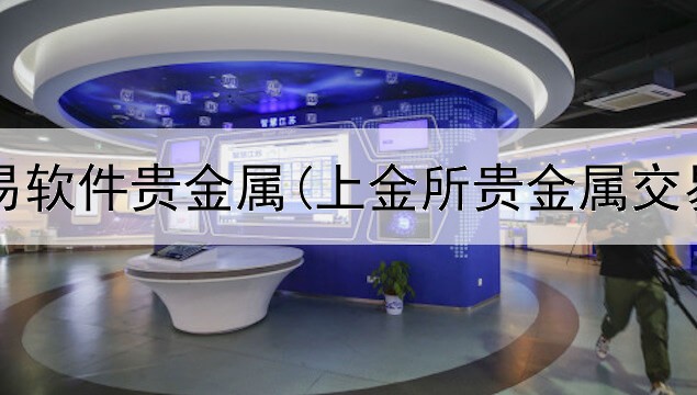  模拟交易软件贵金属(上金所贵金属交易倍数)