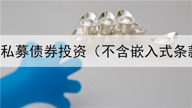  企业金融私募债券投资（不含嵌入式条款的债券）