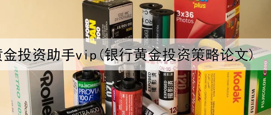  黄金投资助手vip(银行黄金投资策略论文)