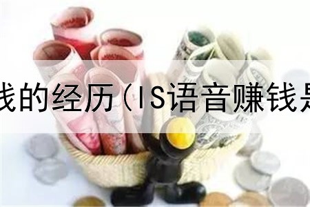 我在网上赚钱的经历(lS语音赚钱是真的吗)