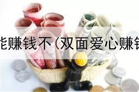 网上开网店能赚钱不(双面爱心赚钱是真的吗)