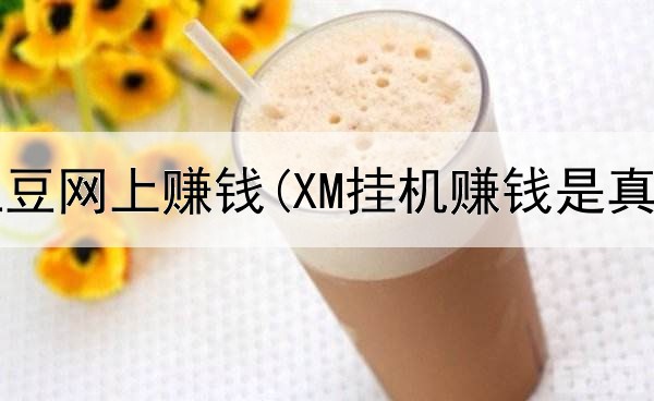 怎么在土豆网上赚钱(XM挂机赚钱是真的吗)