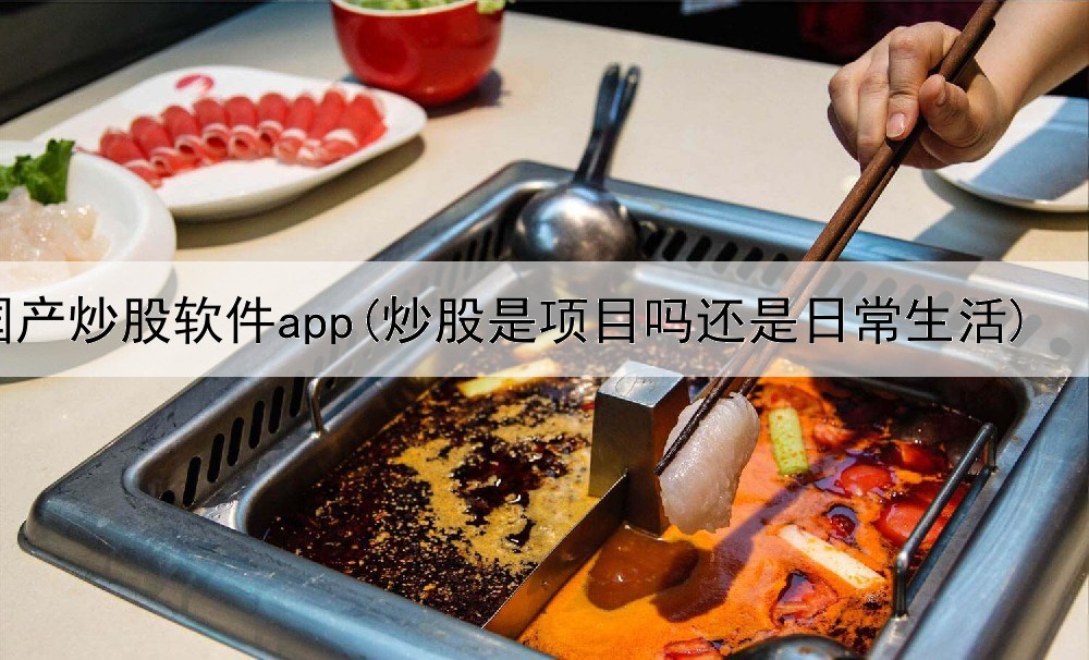 国产炒股软件app(炒股是项目吗还是日常生活)