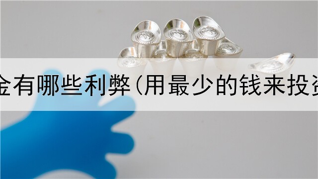 投资黄金有哪些利弊(用最少的钱来投资黄金)